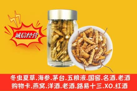 襄城区回收散虫草