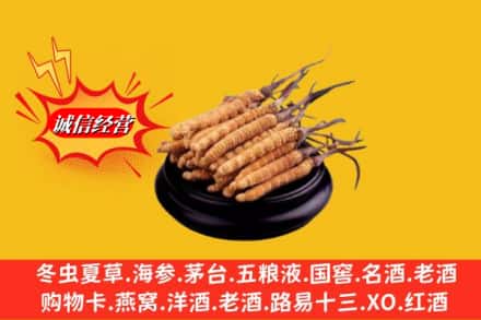 襄城区名酒回收冬虫夏草.jpg